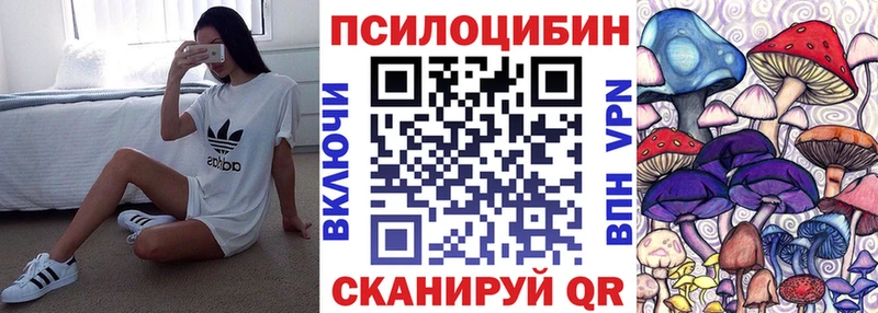 Псилоцибиновые грибы Psilocybe  MEGA зеркало  Задонск 